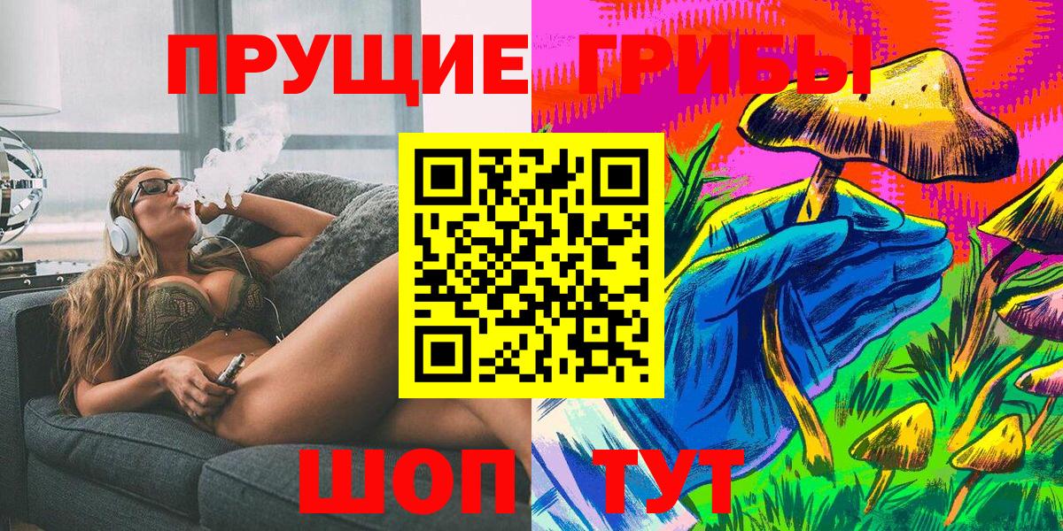 где найти наркотики  Псилоцибиновые грибы GOLDEN TEACHER  Вход с VPN  Кимры  Псилоцибиновые грибы Magic Shrooms 